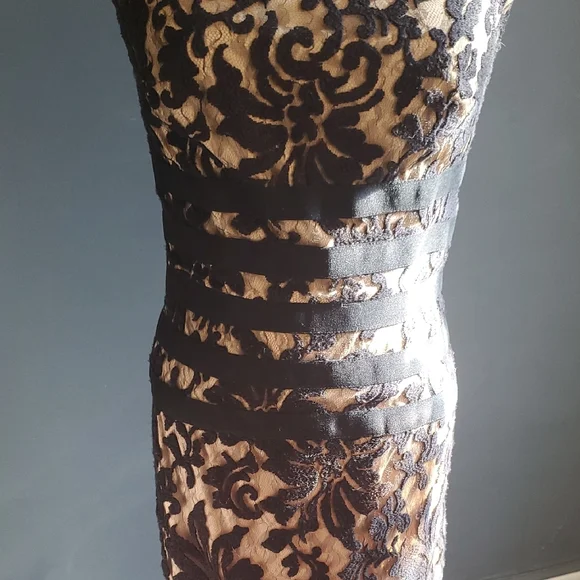 Tadashi Shoji Banded Lace  Black and Tan Maxi Gown with Flutter Cap Slee… - Picture 7 of 12